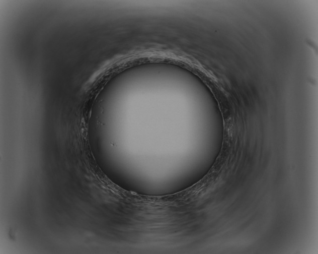 X0000093391495200710111338