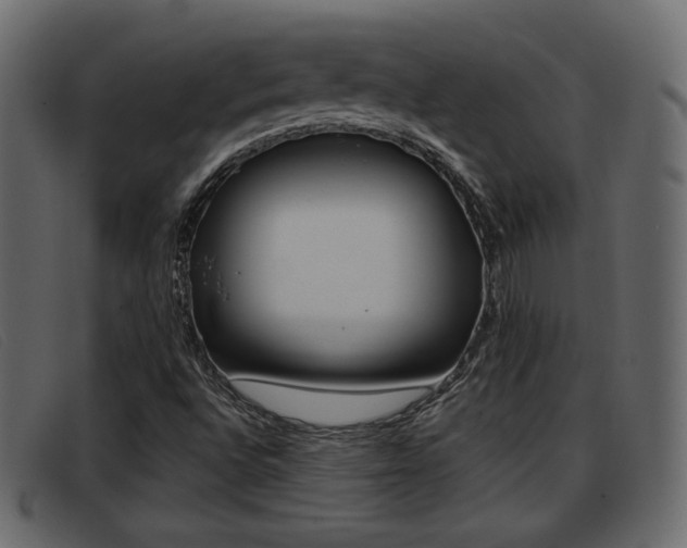 X0000093391496200710111338