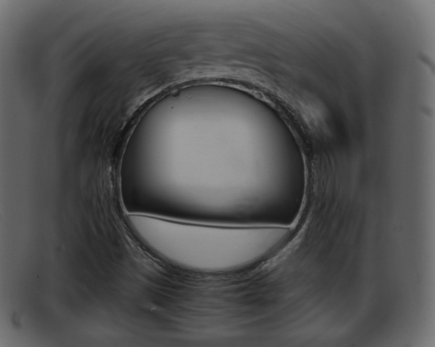 X0000093391497200710111338