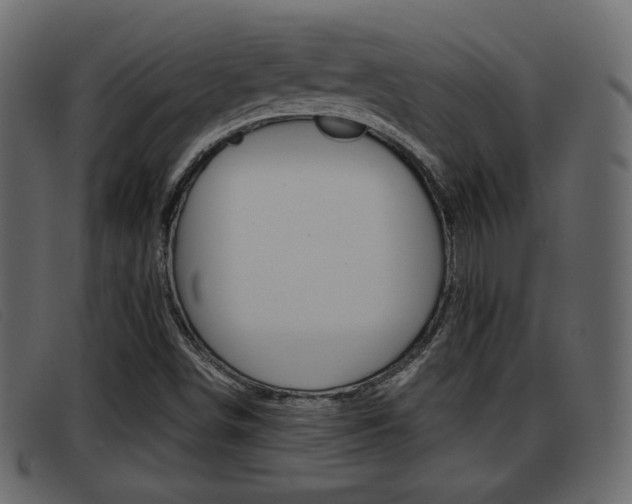 X0000093391498200710111338