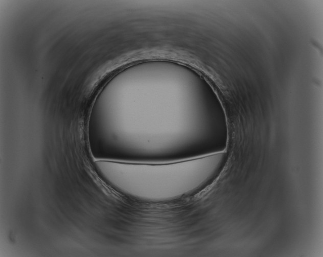 X0000093391499200710111338