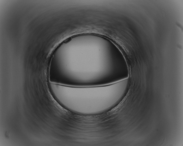 X0000093391500200710111338