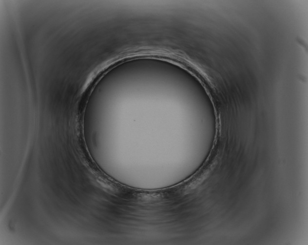 X0000093391501200710111338
