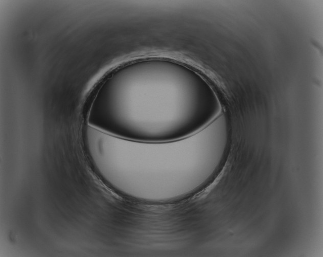 X0000093391502200710111338