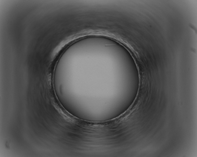 X0000093391503200710111338