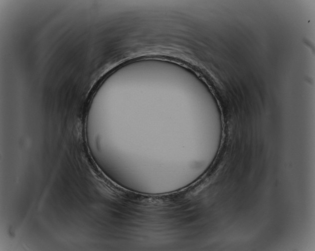 X0000093391505200710111338
