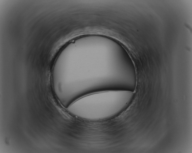 X0000093391507200710111338