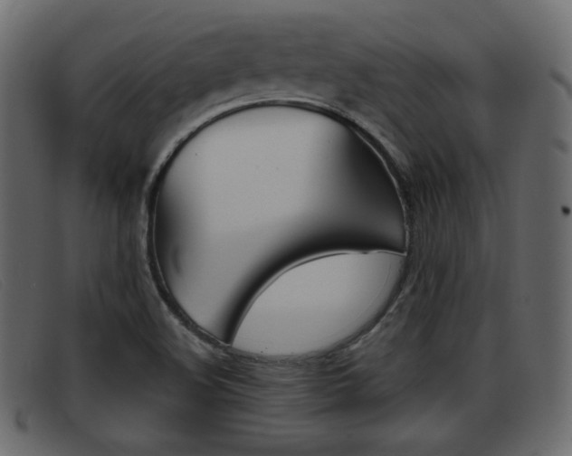 X0000093391508200710111338