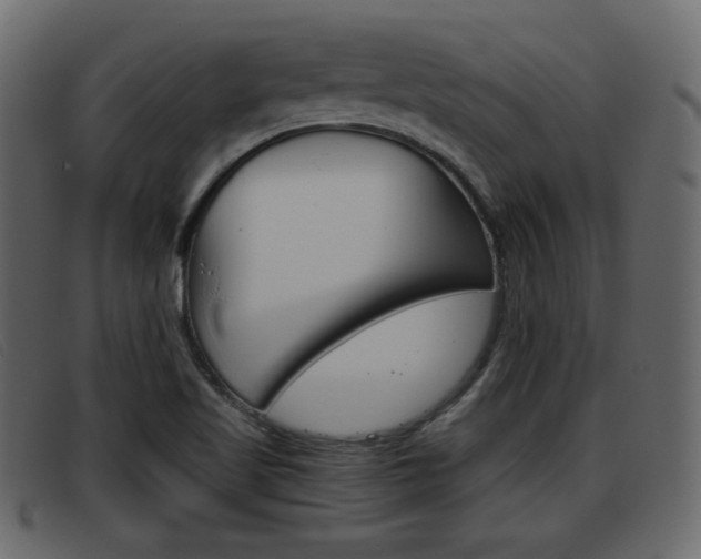 X0000093391509200710111338