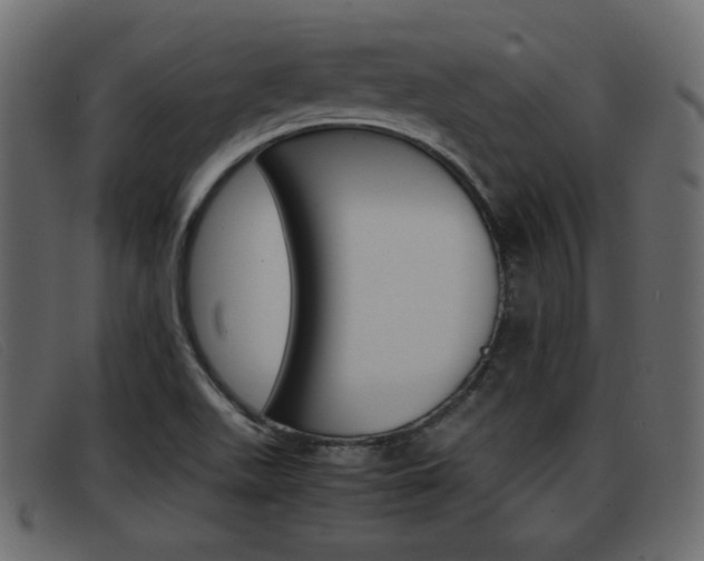 X0000093391511200710111338