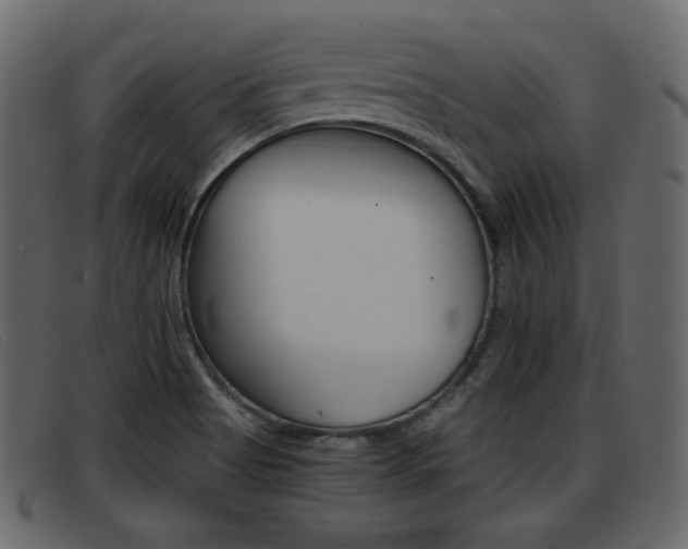 X0000093391513200710111338