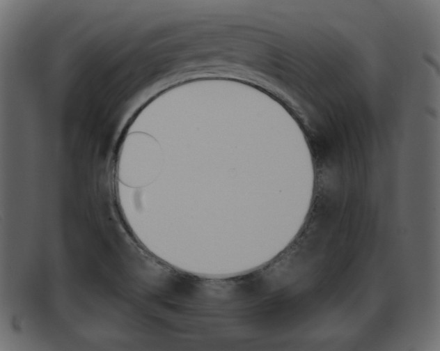 X0000093391514200710111338