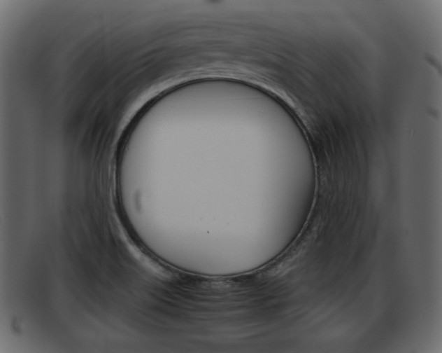 X0000093391515200710111338