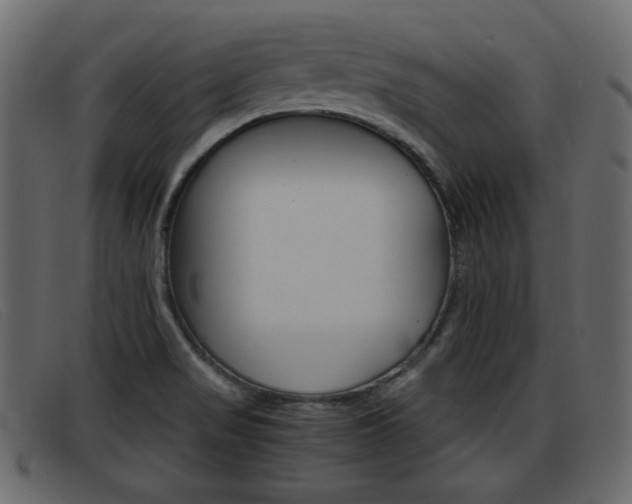 X0000093391517200710111338