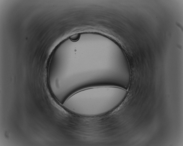 X0000093391518200710111338