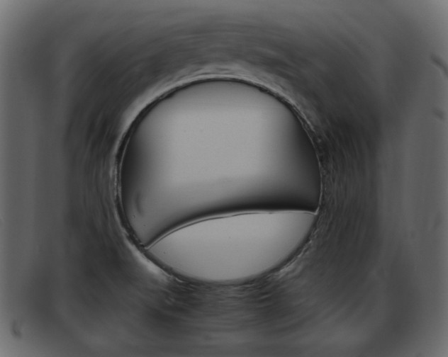 X0000093391519200710111338