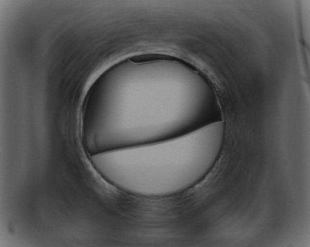 X0000093391520200710111338