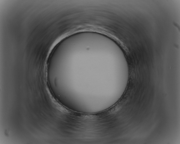 X0000093391522200710111338