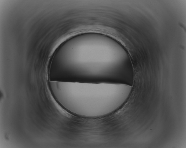 X0000093391523200710111338