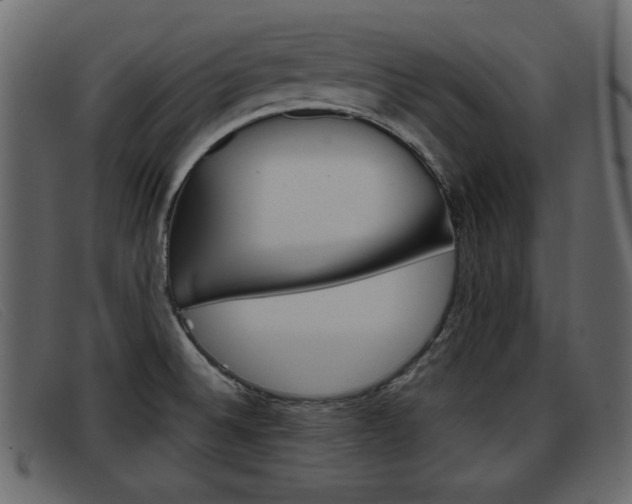 X0000093391524200710111338