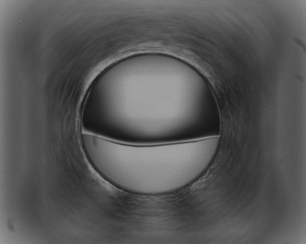 X0000093391527200710111338