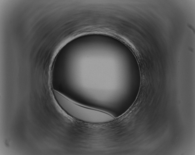 X0000093391528200710111338