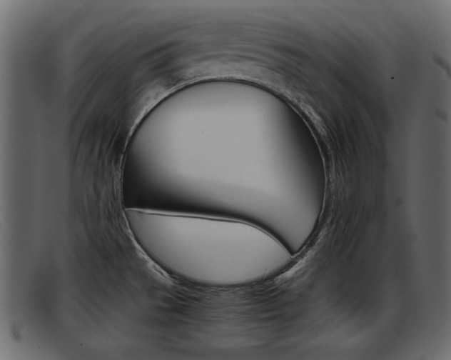 X0000093391529200710111338