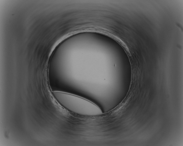 X0000093391530200710111338