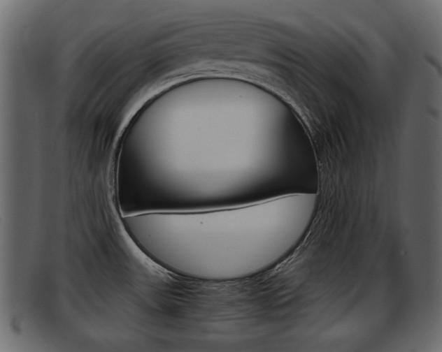 X0000093391531200710111338