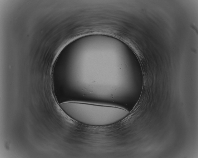 X0000093391532200710111338