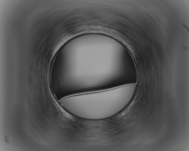 X0000093391533200710111338