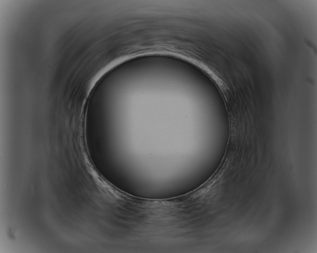 X0000093391534200710111338