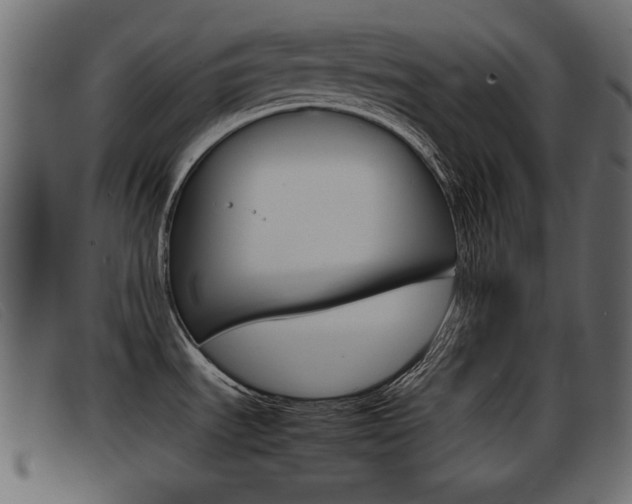 X0000093391535200710111338
