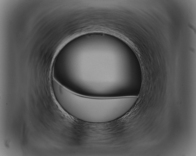 X0000093391536200710111338