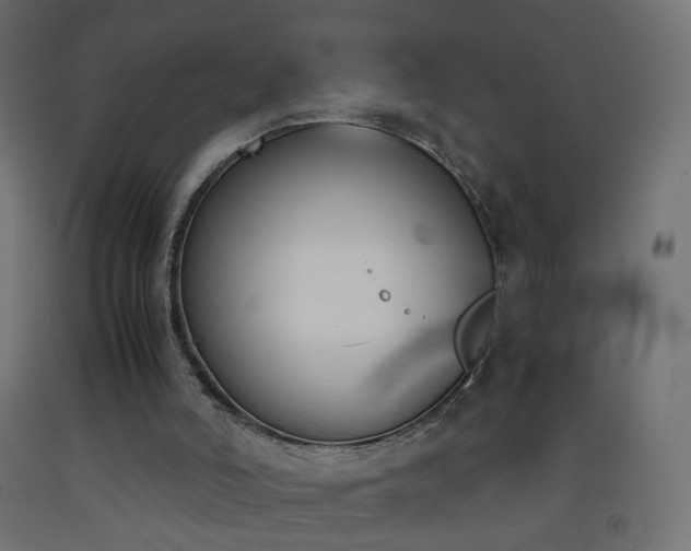 X0000093390006200710111524