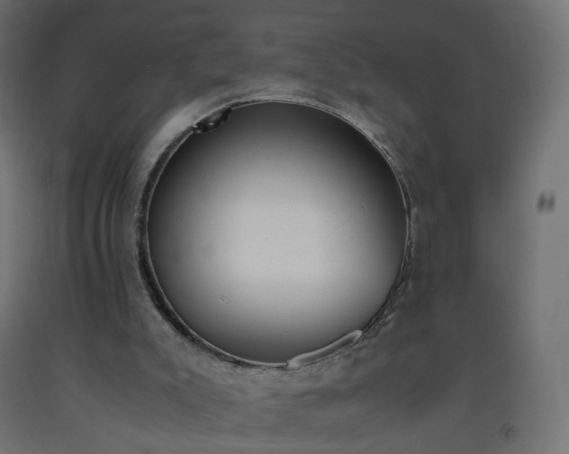 X0000093390007200710111524