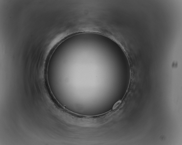 X0000093390008200710111524