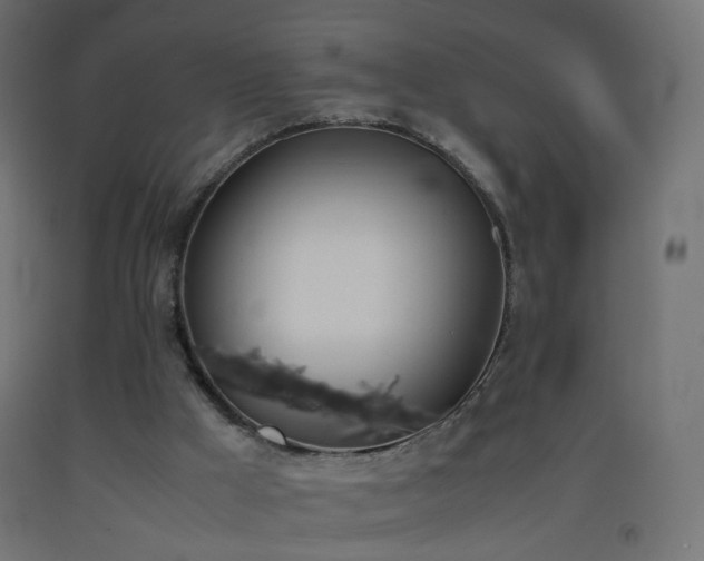 X0000093390009200710111524