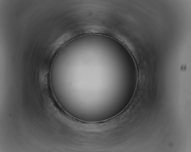 X0000093390010200710111524