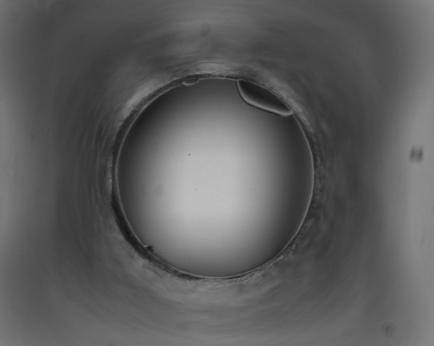 X0000093390011200710111524