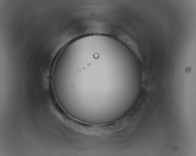 X0000093390012200710111524