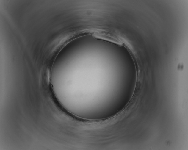 X0000093390013200710111524