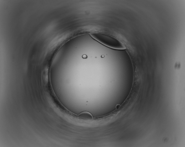 X0000093390014200710111524