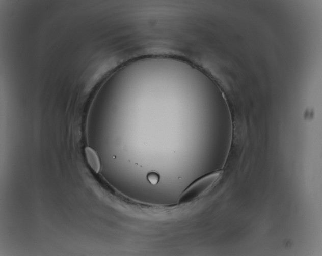 X0000093390015200710111524