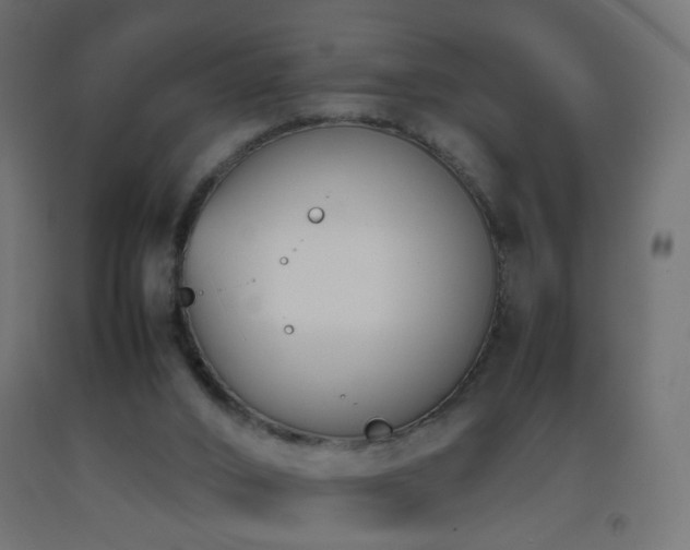 X0000093390016200710111524