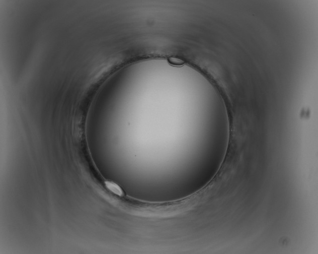 X0000093390017200710111524