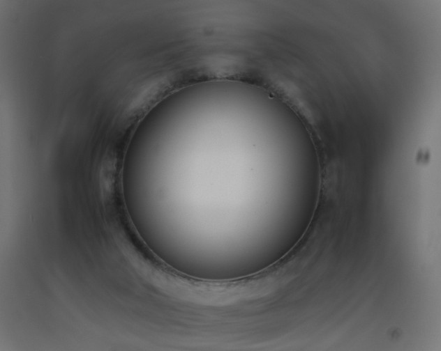 X0000093390018200710111524