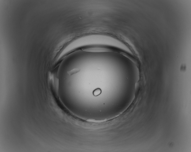 X0000093390019200710111524