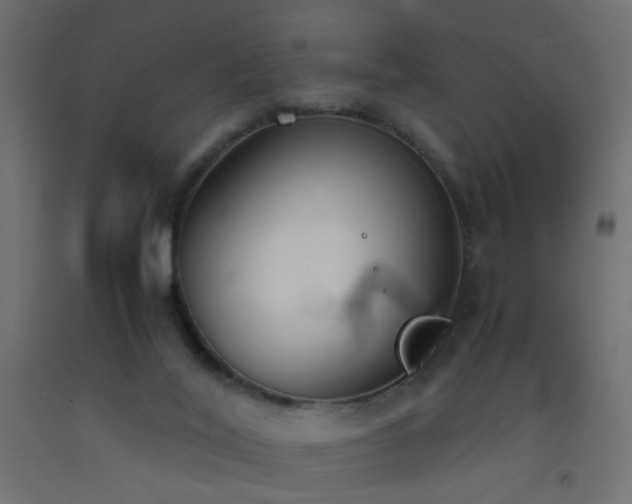 X0000093390020200710111524