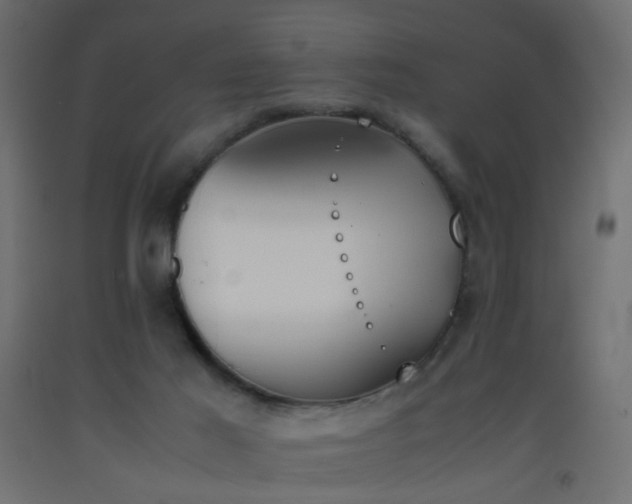 X0000093390021200710111524